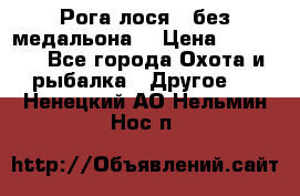 Рога лося , без медальона. › Цена ­ 15 000 - Все города Охота и рыбалка » Другое   . Ненецкий АО,Нельмин Нос п.